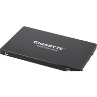 SSD Gigabyte 256GB GP-GSTFS31256GTND - Превью изображения №3 — Интернет-магазин ПроЗаказ