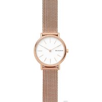 Наручные часы Skagen SKW2694 - Превью изображения №4 — Интернет-магазин ПроЗаказ