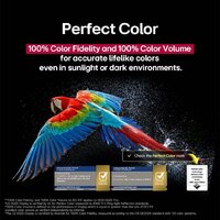 OLED телевизор LG OLED AI B5 OLED65B5RLA - Превью изображения №7 — Интернет-магазин ПроЗаказ