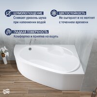 Ванна Lauter Valencia 160x105 2102160R (с каркасом и сифоном 21Y11021 матовый черный) - Превью изображения №5 — Интернет-магазин ПроЗаказ
