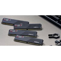 Оперативная память G.Skill Ripjaws S5 2x16ГБ DDR5 5200 МГц F5-5200J4040A16GX2-RS5K - Превью изображения №5 — Интернет-магазин ПроЗаказ