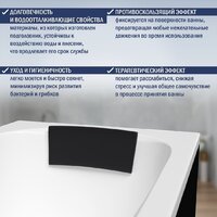 Ванна Lauter Sophia 160 21205160 (с ножками, черным подголовником и черным лиц.экраном) - Превью изображения №8 — Интернет-магазин ПроЗаказ