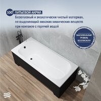 Ванна Lauter Sophia 160 21205160 (с ножками, черным подголовником и черным лиц.экраном) - Превью изображения №5 — Интернет-магазин ПроЗаказ