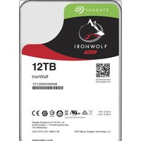 Seagate IronWolf 10TB ST10000VN0008