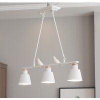 Home Light A070-2
