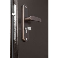 Металлическая дверь Промет Профи DL 205х125 (правый) - Превью изображения №4 — Интернет-магазин ПроЗаказ