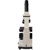 Детский микроскоп Микромед Эврика 40х-1280х с видеоокуляром в кейсе 22670 - Превью изображения №13 — Интернет-магазин ПроЗаказ