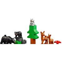 Набор деталей LEGO Education 45029 Животные - Превью изображения №3 — Интернет-магазин ПроЗаказ