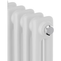 Стальной трубчатый радиатор Royal Thermo Insignia C2180 - 12 секций RAL9016 - Превью изображения №3 — Интернет-магазин ПроЗаказ