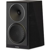 Paradigm Founder 40B (черный орех)