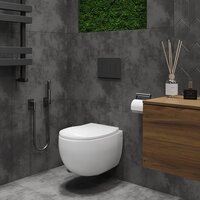 Унитаз подвесной Roxen EGG 530170-01 Rimless Soft Close NC - Превью изображения №6 — Интернет-магазин ПроЗаказ