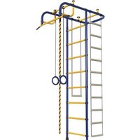 Пионер М (синий/желтый)