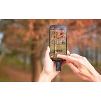 Внешний накопитель ADATA SC730 512GB SC730-512G-CACTI - Превью изображения №8 — Интернет-магазин ПроЗаказ