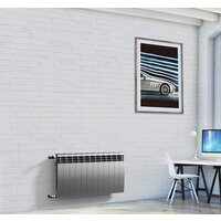 Биметаллический радиатор Royal Thermo BiLiner 500 Silver Satin (5 секций) - Превью изображения №2 — Интернет-магазин ПроЗаказ