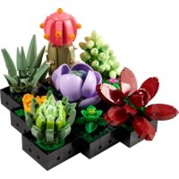 Конструктор LEGO Creator Expert 10309 Суккуленты - Превью изображения №10 — Интернет-магазин ПроЗаказ
