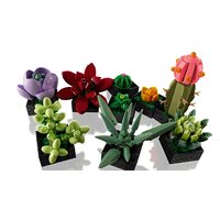 Конструктор LEGO Creator Expert 10309 Суккуленты - Превью изображения №6 — Интернет-магазин ПроЗаказ