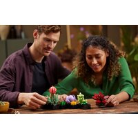 Конструктор LEGO Creator Expert 10309 Суккуленты - Превью изображения №3 — Интернет-магазин ПроЗаказ