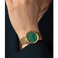 Наручные часы Timex TW2W87300 - Превью изображения №6 — Интернет-магазин ПроЗаказ