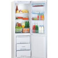 Холодильник POZIS RK-149 (бежевый) - Превью изображения №2 — Интернет-магазин ПроЗаказ