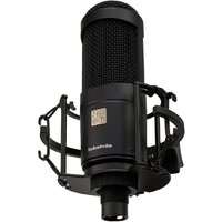 Проводной микрофон Radiotehnika MCD-01 - Превью изображения №2 — Интернет-магазин ПроЗаказ