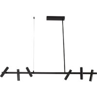 Kinklight Верония 07613-6AS.19 (черный)