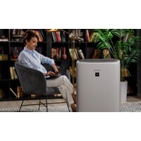 Климатический комплекс Sharp KI-N52EU-L - Превью изображения №17 — Интернет-магазин ПроЗаказ