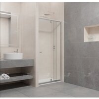 Душевая дверь RGW PA-02 41080200-11 100 (хром/прозрачное стекло) - Превью изображения №1 — Интернет-магазин ПроЗаказ