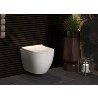 Унитаз подвесной Berges Wasserhaus Okus + Toma Slim SO + Novum525 + S3 043267 - Превью изображения №9 — Интернет-магазин ПроЗаказ