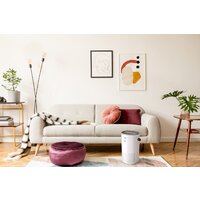 Очиститель воздуха Funai Yakata HAP-Y230S01E - Превью изображения №6 — Интернет-магазин ПроЗаказ