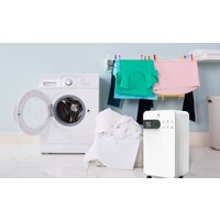 Осушитель воздуха Royal Clima Pacific Studio RD-PC12-EW - Превью изображения №6 — Интернет-магазин ПроЗаказ