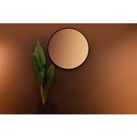  Silver Mirrors Зеркало Monaco Black D1000 LED-00002769 - Превью изображения №19 — Интернет-магазин ПроЗаказ