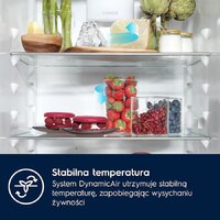 Холодильник Electrolux GreenZone 700 E7TNGE75S - Превью изображения №2 — Интернет-магазин ПроЗаказ