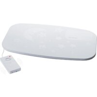 Радионяни и видеоняни