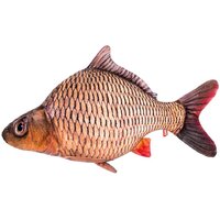 Fancy Рыба RUB1