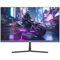 ELSA EA241GS Pro