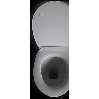 Сиденье для унитаза Roca Victoria Nord ZRU9302919 - Превью изображения №3 — Интернет-магазин ПроЗаказ