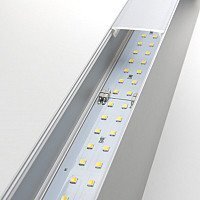 Подсветка для картин Elektrostandard 101-100-40-128 50W 6500K (матовое серебро) - Превью изображения №3 — Интернет-магазин ПроЗаказ