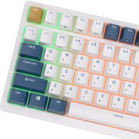 Клавиатура Royal Kludge RK98 RGB Klein Blue (RK Brown) - Превью изображения №7 — Интернет-магазин ПроЗаказ