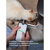 Кормушка электронная Sundays Easy Feed Pro HWN250303-1 - Превью изображения №5 — Интернет-магазин ПроЗаказ