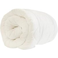 Файбертек Э.ЛП.2.01 205x172 (лебяжий пух)