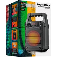 Беспроводная колонка Soundmax SM-PS5029B - Превью изображения №10 — Интернет-магазин ПроЗаказ
