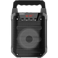 Беспроводная колонка Soundmax SM-PS5029B - Превью изображения №7 — Интернет-магазин ПроЗаказ