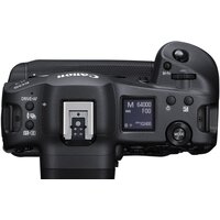 Беззеркальный фотоаппарат Canon EOS R3 Body - Превью изображения №4 — Интернет-магазин ПроЗаказ