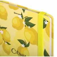 Ежедневник BRAUBERG Lemons 113727 - Превью изображения №4 — Интернет-магазин ПроЗаказ