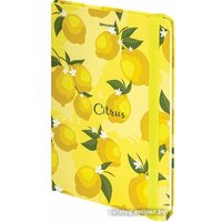 BRAUBERG Lemons 113727