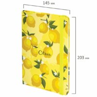 Ежедневник BRAUBERG Lemons 113727 - Превью изображения №2 — Интернет-магазин ПроЗаказ