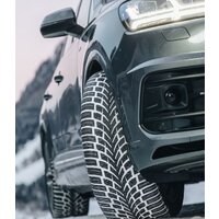 Зимние шины Nokian Tyres WR SUV 4 235/60R17 106H - Превью изображения №4 — Интернет-магазин ПроЗаказ
