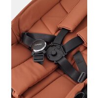 Коляска прогулочная «книга» Rant Golf RA101 (maroon brown) - Превью изображения №30 — Интернет-магазин ПроЗаказ