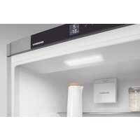 Холодильник Liebherr ICNe 5103 Pure NoFrost - Превью изображения №10 — Интернет-магазин ПроЗаказ