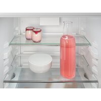 Холодильник Liebherr ICNe 5103 Pure NoFrost - Превью изображения №9 — Интернет-магазин ПроЗаказ